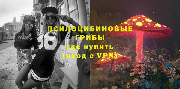 молекула духа Переславль-Залесский